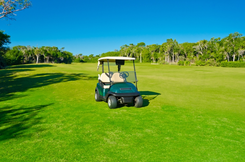lp_support_shutterstock_236835139.jpg Vente et réparation de voiture de golf, Hérault